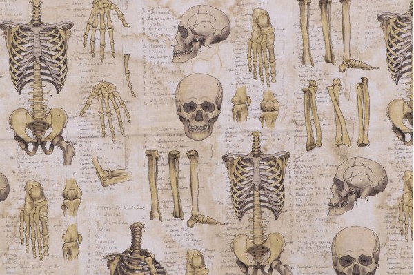 Tim Holtz Laboratory - Anatomy Printed Cotton Craft Fabric in Neutral for Free Spirit 