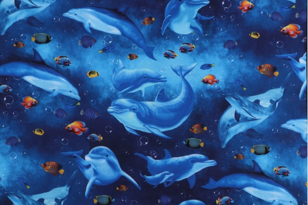 Timeless Treasures Ocean Life - Playful Dolphins and Fish Printed Cotton Craft Fabric in Ocean 