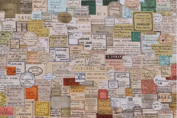 Click for Tim Holtz Laboratory - Curator Printed Cotton Craft Fabric in Multi for Free Spirit  Tim Holtz Laboratory - Curator Printed Cotton Craft Fabric in Multi for Free Spirit