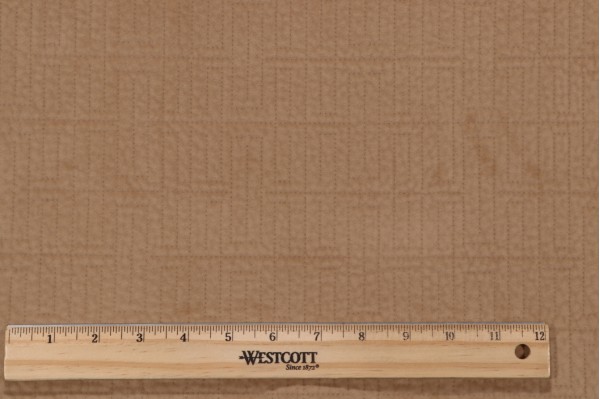 Click for 1 Yard Covington Avalon Velveteen Decorator Fabric in 81-Golden 1 Yard Covington Avalon Velveteen Decorator Fabric in 81-Golden