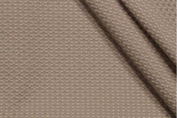 Robert Allen Triplex Woven Upholstery Fabric in Linay
