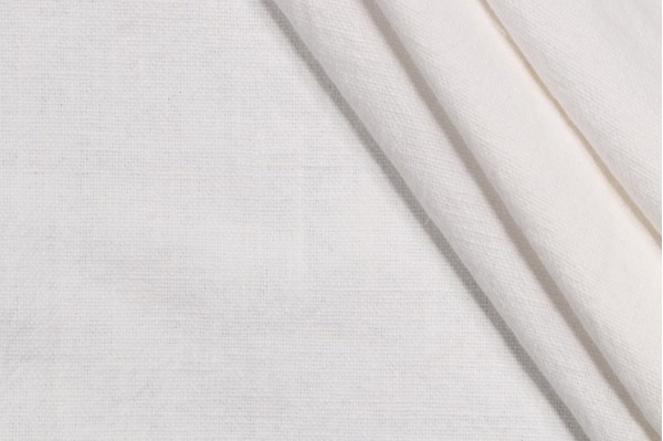 Ellen Degeneres Cleary Woven Washed Decorator Fabric in White