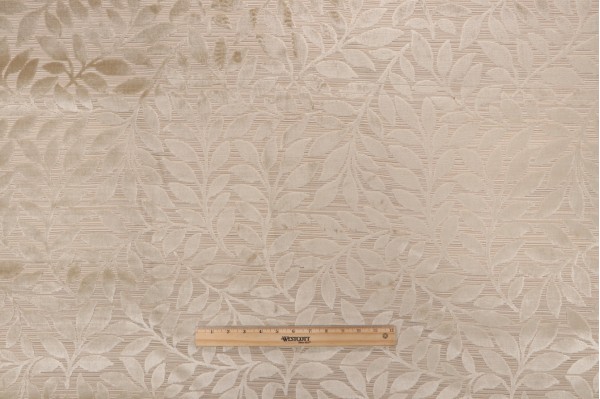 Scalamandre Argento Velvet Upholstery Fabric in Natural