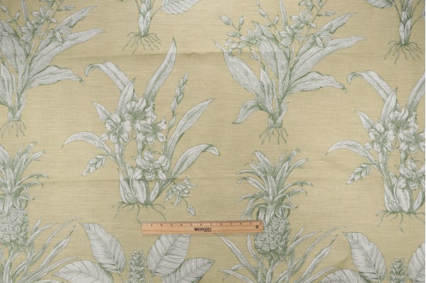 Click for 1.5 Yards Thibaut Tropical Toile F99798 Printed Linen Blend Drapery Fabric in Green Thibaut Tropical Toile F99798 Printed Linen Blend Drapery Fabric in Green