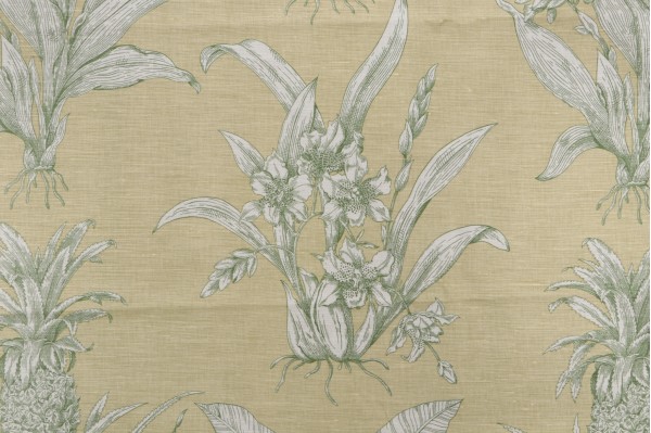 Click for 1.5 Yards Thibaut Tropical Toile F99798 Printed Linen Blend Drapery Fabric in Green Thibaut Tropical Toile F99798 Printed Linen Blend Drapery Fabric in Green