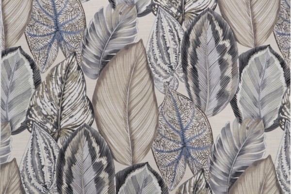 P Kaufmann Isla Verde Printed Cotton Drapery Fabric in Pebble