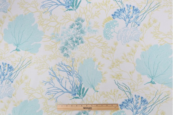 Sample of Thibaut Molokini F95735 Printed Cotton Drapery Fabric in Aqua and Green 