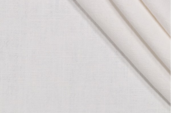 Ellen Degeneres Cleary Woven Upholstery Fabric in White 