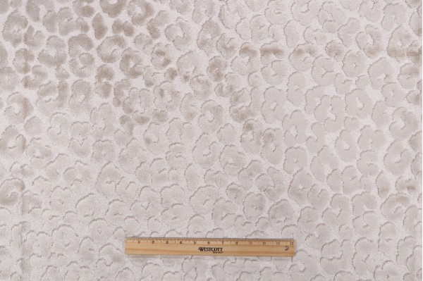 Sample of Hamilton Bella Velvet Upholstery Fabric in Pearl 