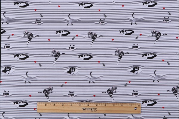 Timeless Treasures Feline Good! - Peekaboo Shade Cats Printed Cotton Craft Fabric in White 