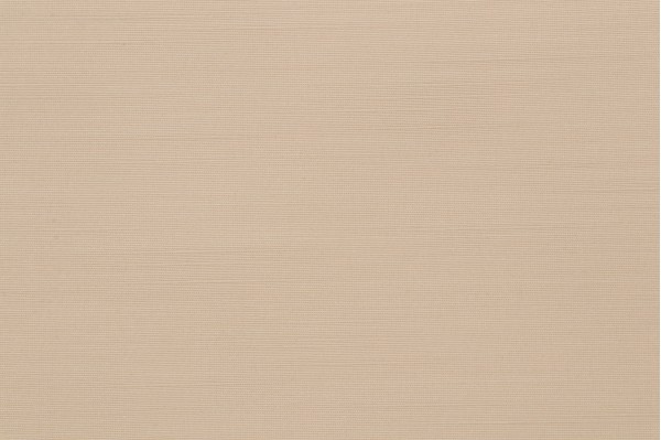 Scalamandre Unpasted Wallpaper in Beige