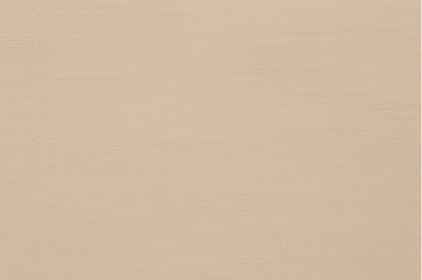 Scalamandre Unpasted Wallpaper in Beige