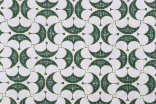 Lacefield Malon Printed Cotton Blend Drapery Fabric in Cucumber