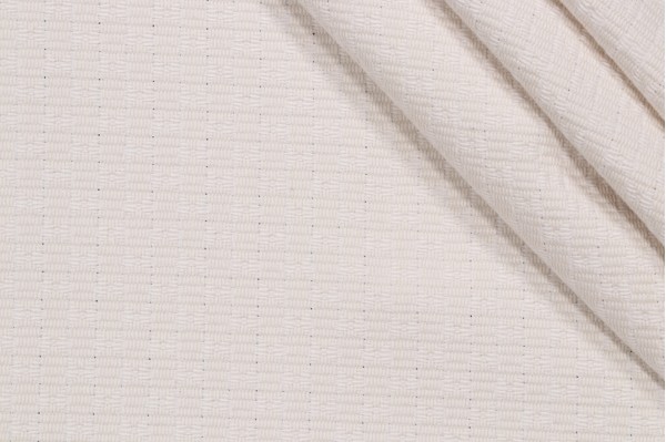 Cricketer Woven Upholstery Fabric in Ivory
