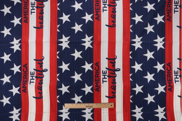 Bryant 17''x18'' Printed Polyester Pillow Square Outdoor Fabric in Patriotic