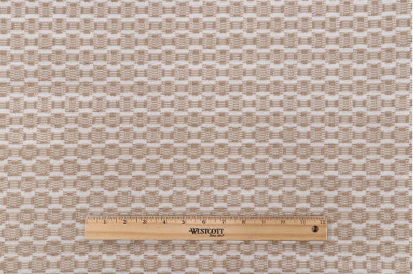 Sample of P Kaufmann Newhall Grospoint Velvet Upholstery Fabric in Flax 