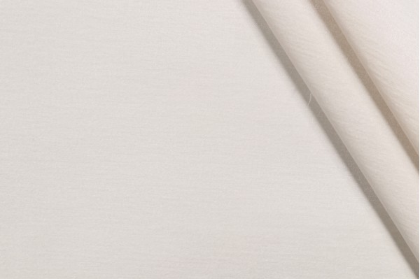 Crypton Artemis High Performance Chenille Upholstery Fabric in Parchment