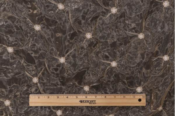 Scalamandre Merlene Sheer Silk Decorator Fabric in Champagne