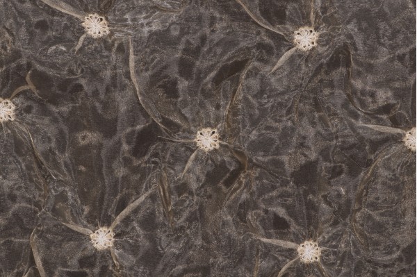 Scalamandre Merlene Sheer Silk Decorator Fabric in Champagne