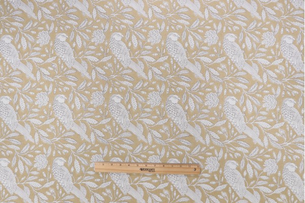 Sample of Laura & Kiran Eden Printed Cotton Drapery Fabric in Almond 
