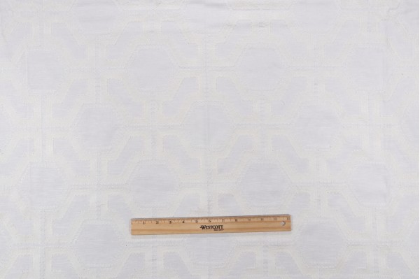 Valiant Fabrics Sorrell Embroidered Drapery Fabric in Off-White 