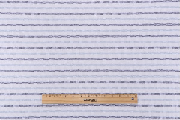 Seaside Woven Polyester Outdoor Fabric in Rain