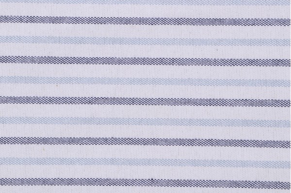 Seaside Woven Polyester Outdoor Fabric in Rain