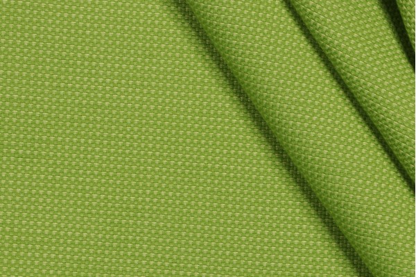 Tempotest Rivertree Woven Solution Dyed Acrylic Outdoor Fabric in Lime