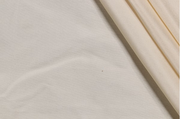 Titan Silk Decorator Fabric in Ivory