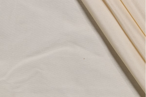 Titan Silk Decorator Fabric in Ivory