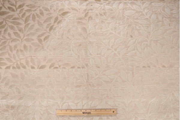 Scalamandre Argento Velvet Upholstery Fabric in Natural