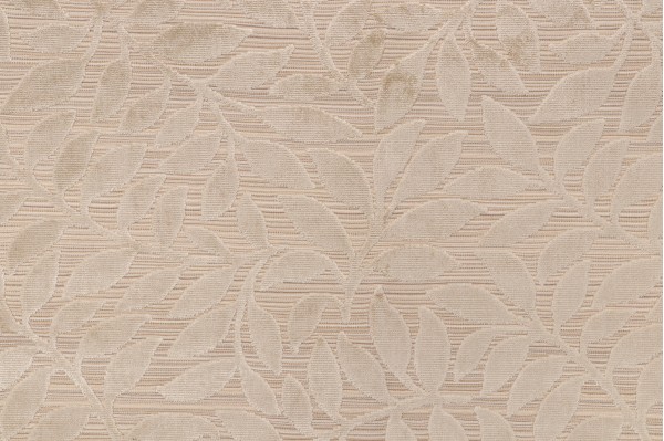 Scalamandre Argento Velvet Upholstery Fabric in Natural