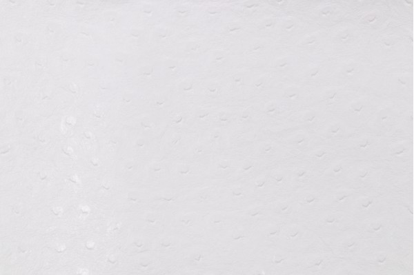Scalamandre Struzzo Vinyl Upholstery Fabric in White