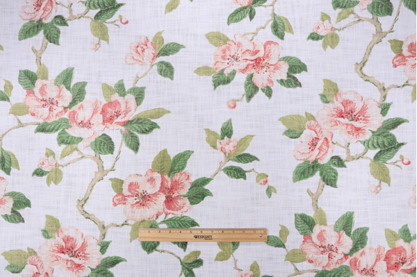 P Kaufmann Blossom Vine Printed Cotton Drapery Fabric in Coral 