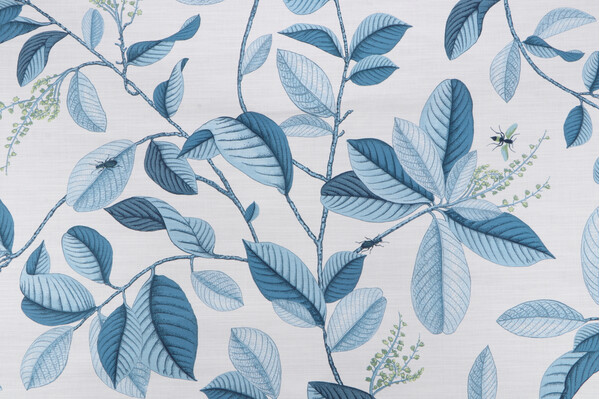 Sample of P Kaufmann Leaflet Printed Cotton Drapery Fabric in Ocean 