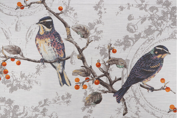 Birdland Printed Drapery Fabric in Opal