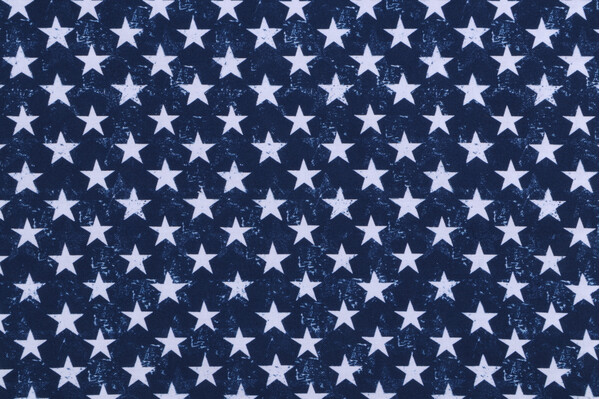 Gail Cadden Let Freedom Ring - USA Patriotic Stars Printed Cotton Craft Fabric in Navy for Timeless Treasures