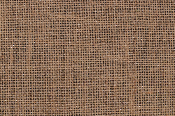 Metallic Burlap Decorator Fabric in Silver/Natural
