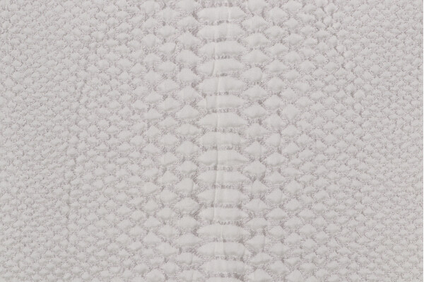 Tarasque Matelasse Upholstery Fabric in Silver
