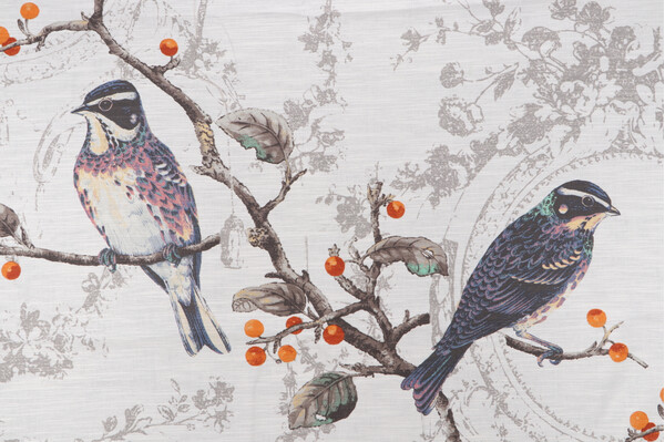 Birdland Printed Cotton Drapery Fabric in Opal