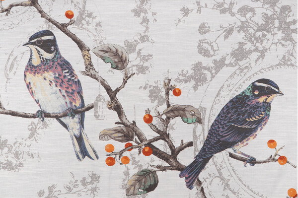 Birdland Printed Cotton Drapery Fabric in Opal