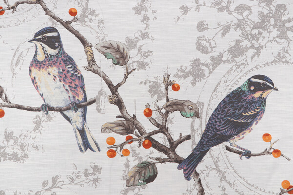 Birdland Printed Cotton Drapery Fabric in Opal