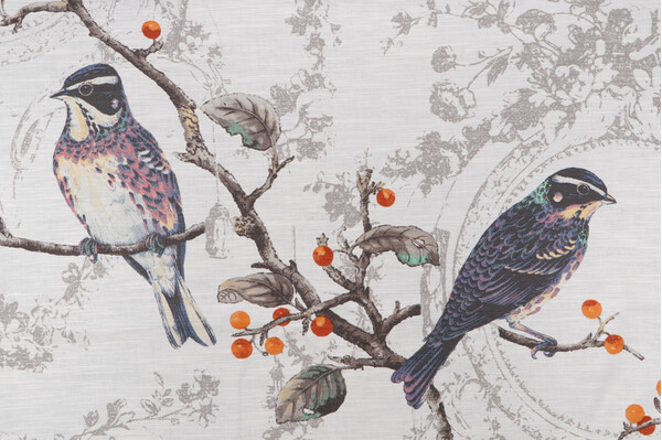 Birdland Printed Cotton Drapery Fabric in Opal