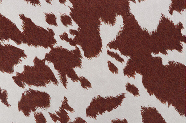 Click for Covington Deja Moon Printed Velveteen Decorator Fabric in 611-Sienna  Covington Deja Moon Printed Velveteen Decorator Fabric in 611-Sienna