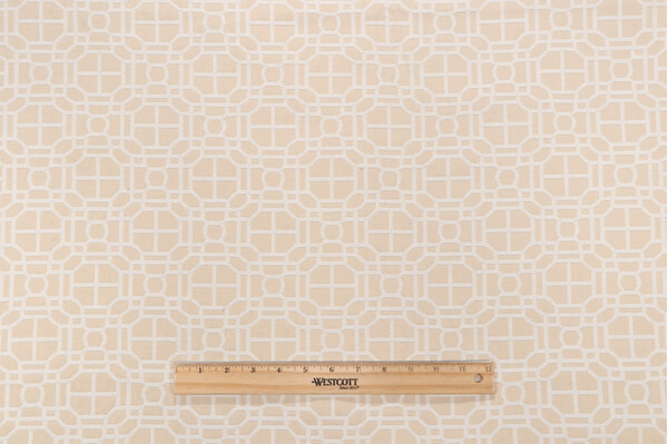 Bella Vista Damask Decorator Fabric in Cashew