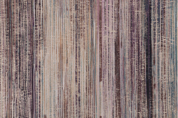 Richloom Viva Printed Polyester Drapery Fabric in Jewel 