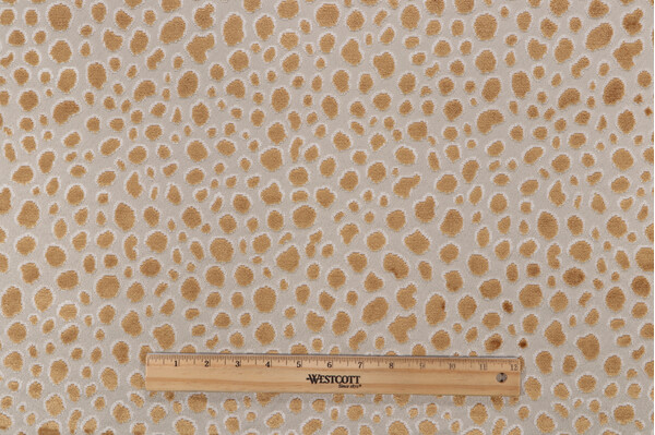 P Kaufmann Myla Grospoint Velvet Upholstery Fabric in Honey 
