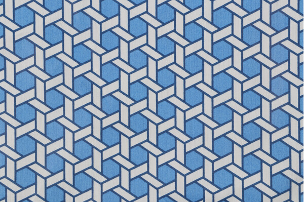 Waverly Shoji Printed Cotton Drapery Fabric in Porcelain