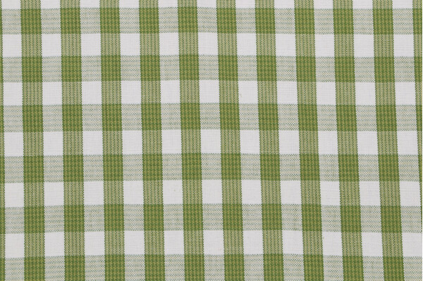 Grey Watkins Chatham Check Woven Decorator Fabric in Green/Off-White