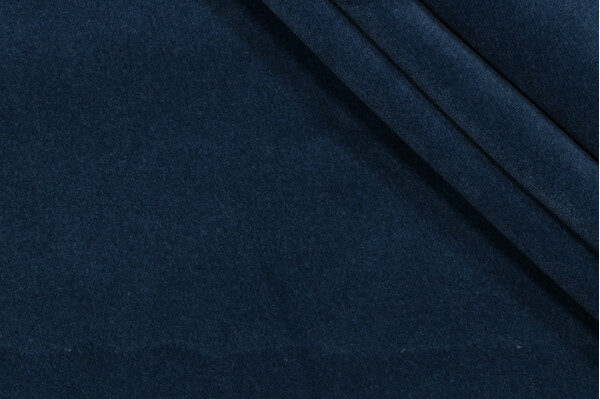 Maxwell Palmero Velvet Outdoor Fabric in Dragonfly